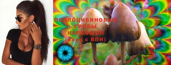 прущие грибы Абаза