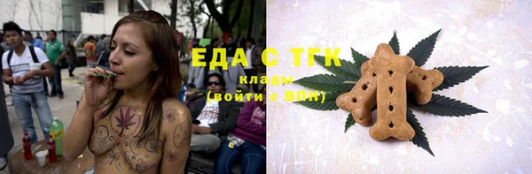 прущие грибы Абаза