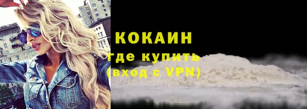 прущие грибы Абаза