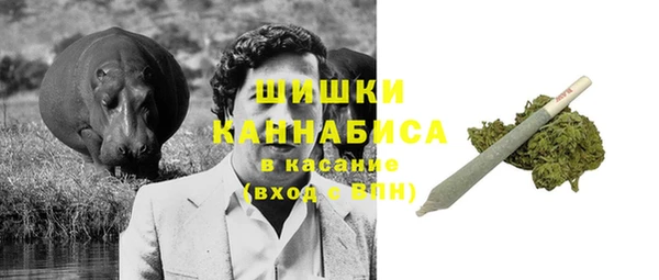 прущие грибы Абдулино