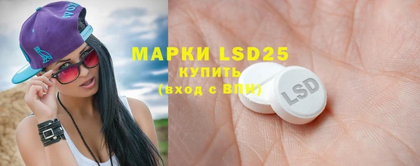 прущие грибы Абаза