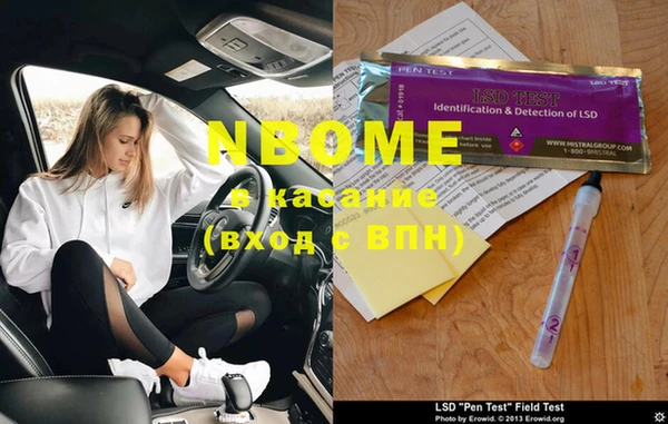 прущие грибы Абаза