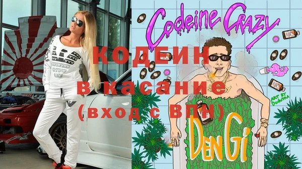 прущие грибы Абаза