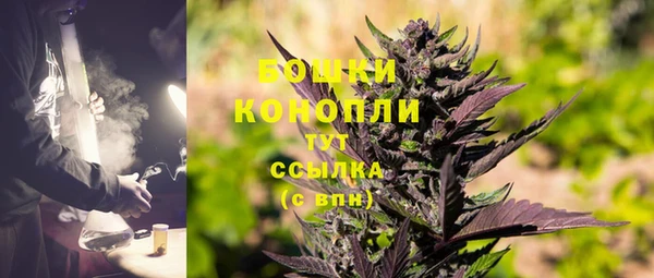 прущие грибы Абаза