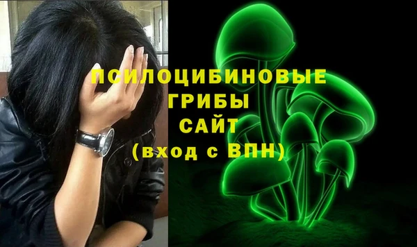 прущие грибы Абаза