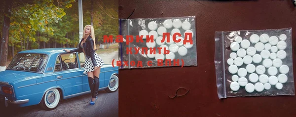 прущие грибы Абаза