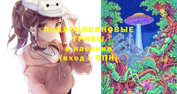 прущие грибы Абдулино