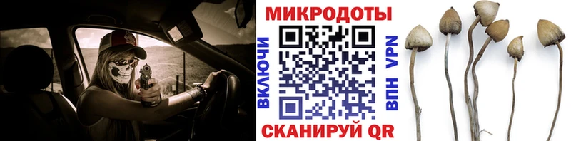 Псилоцибиновые грибы Psilocybe  наркотики  Нолинск 